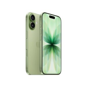 Apple iPhone 17 256Gb Sage ( Зеленый )