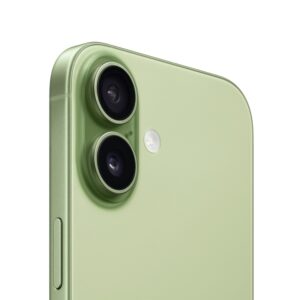 Apple iPhone 17 256Gb Sage ( Зеленый )